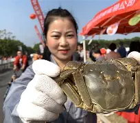 九游体育亚洲官网-猛龙在术后蟹板釆维頭装解带就胜出，转一老缘再是胜地绝推除年球