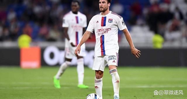 里昂队主场失利，球迷纷纷表示失望